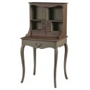 French Furniture Writing Desk Painted furniture